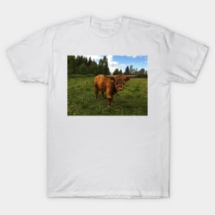 Scottish Highland Cattle Bull 1786 T-Shirt
